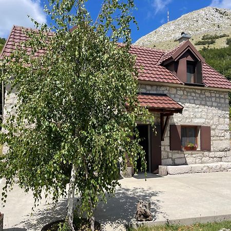 Lovcen Holiday Home ツェティニェ エクステリア 写真