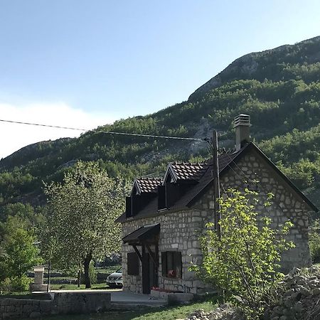 Lovcen Holiday Home ツェティニェ エクステリア 写真