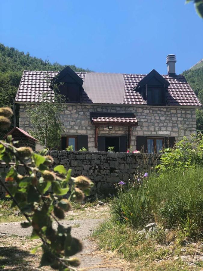Lovcen Holiday Home ツェティニェ エクステリア 写真