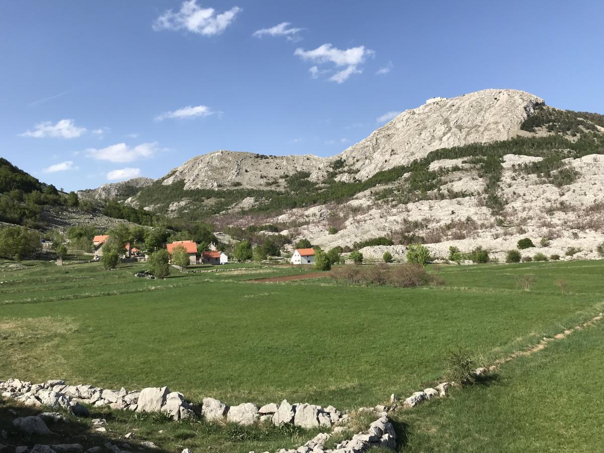 Lovcen Holiday Home ツェティニェ エクステリア 写真