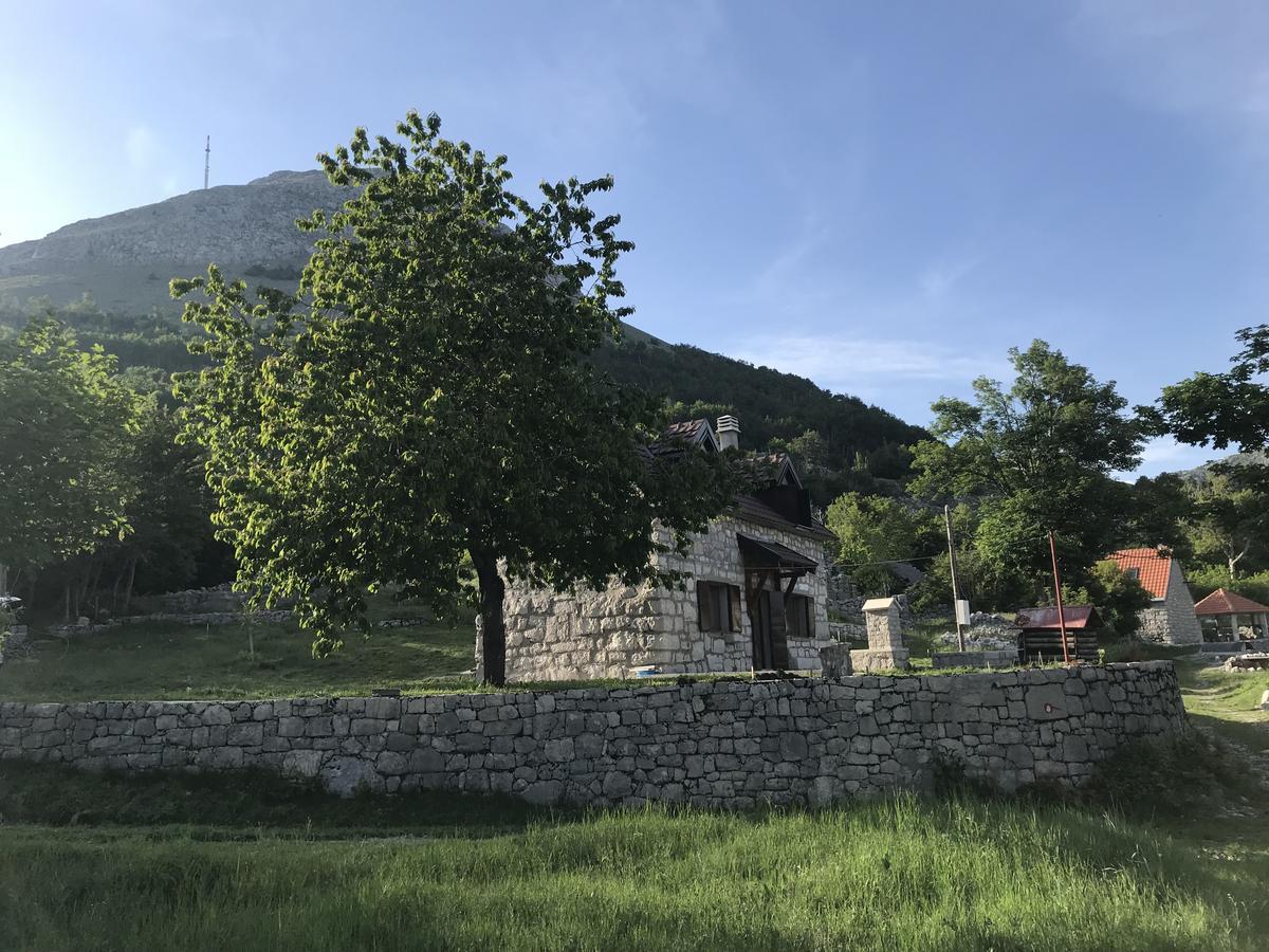 Lovcen Holiday Home ツェティニェ エクステリア 写真