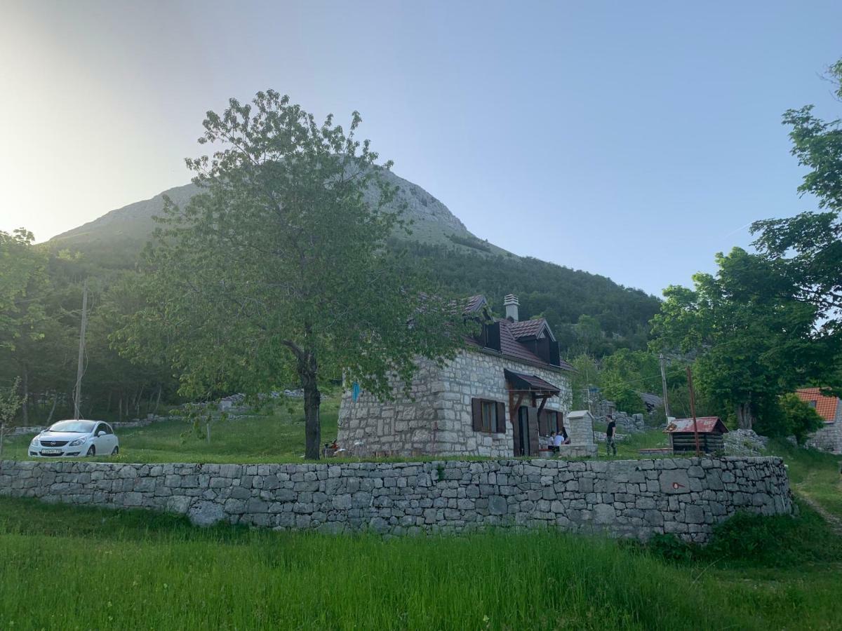 Lovcen Holiday Home ツェティニェ エクステリア 写真